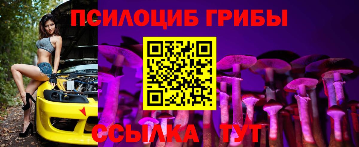Галлюциногенные грибы прущие грибы Саяногорск