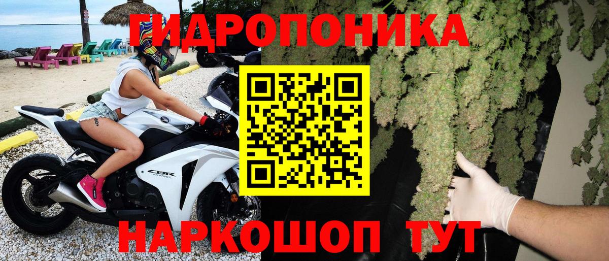 МАРИХУАНА семена  Каннабис семена  Вход с VPN  Бошки марихуана Bruce Banner  Саяногорск 